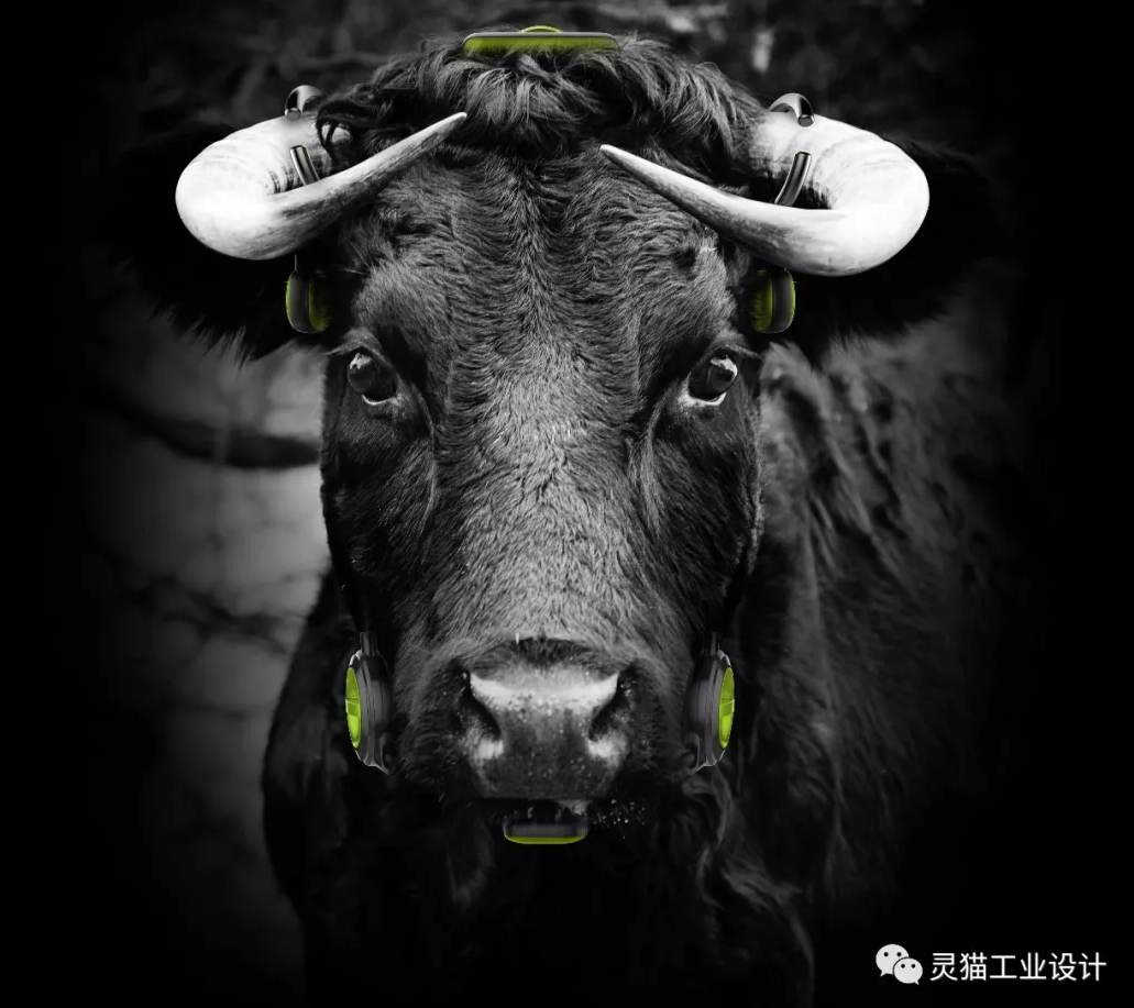 一个因设计而改变牦牛生存现状的智能设备