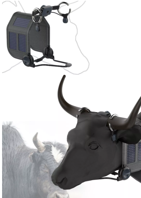 产品效果图：