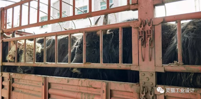  获奖设计师心得体会：